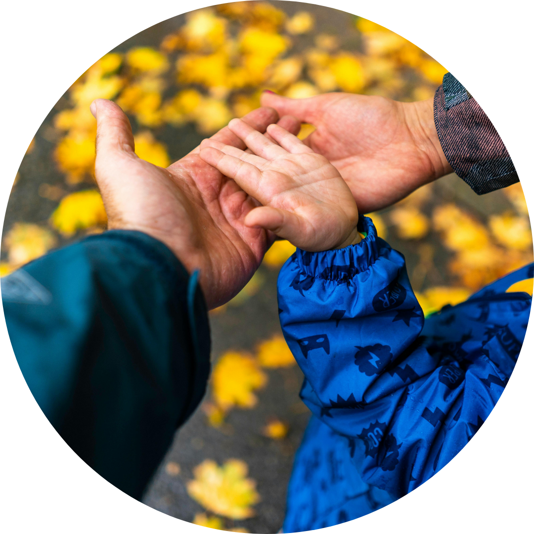 October: Healthy Harvest, Healthy Homes